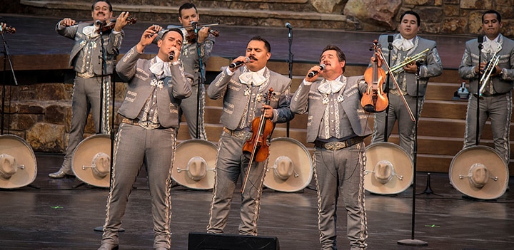 Mariachi Los Camperos Image